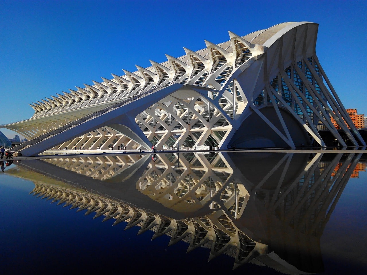 blog - dasha - Museums in Valencia Top 3 Must-Visit